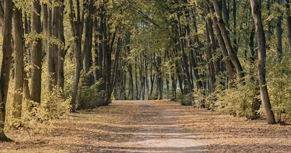 Best Hiking Destinations and Scenic Nature Escapes Near Sacramento
