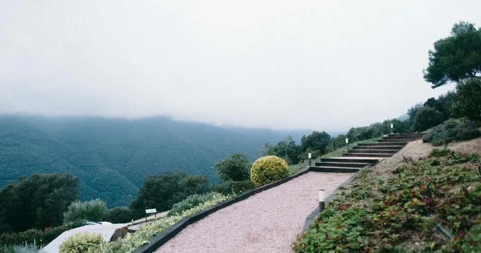 Best Hiking Destinations and Scenic Nature Escapes Near Sacramento