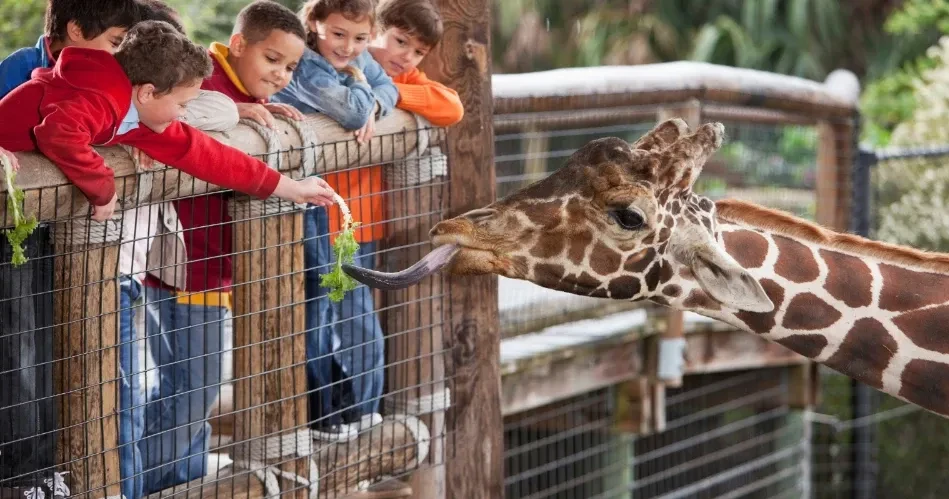 Top Kid-Friendly Attractions and Activities in Sacramento for Families